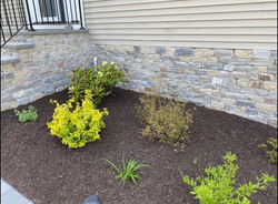 A flower bed with various shrubs and dark mulch, next to a stone-veneered building.
