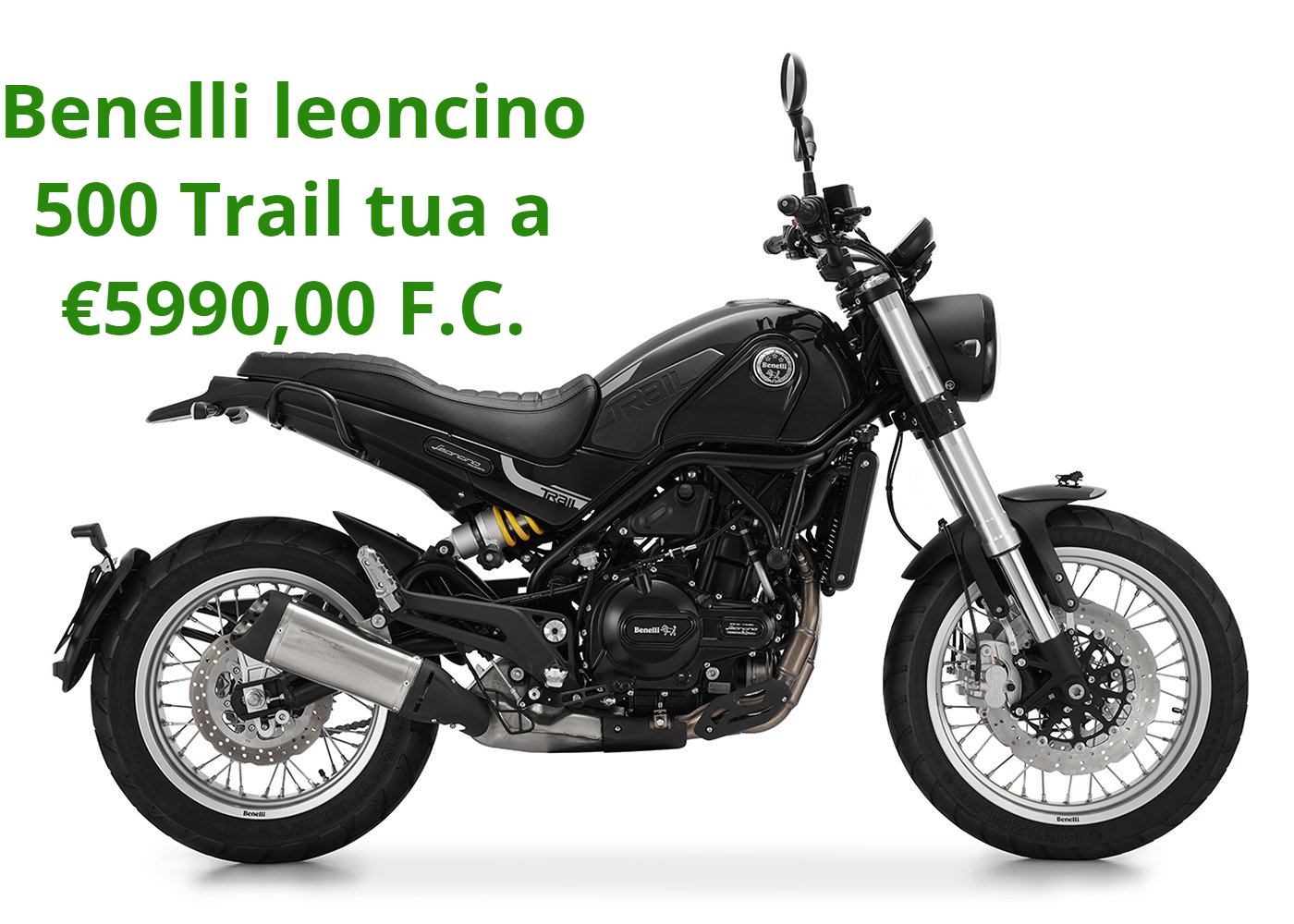 Showroom moto
