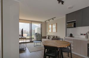 A modern, open-concept living area and kitchen with a round wood dining table, gray cabinets, and balcony views.