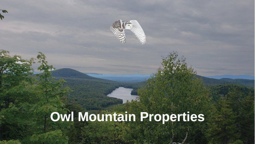 Mountain landscape with forest and hills under cloudy sky, labeled &ldquo;Owl Mountain Properties&rdquo; with a white owl logo.