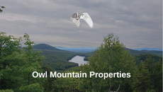 Mountain landscape with forest and hills under cloudy sky, labeled “Owl Mountain Properties” with a white owl logo.