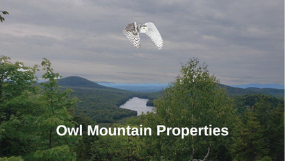 Mountain landscape with forest and hills under cloudy sky, labeled “Owl Mountain Properties” with a white owl logo.
