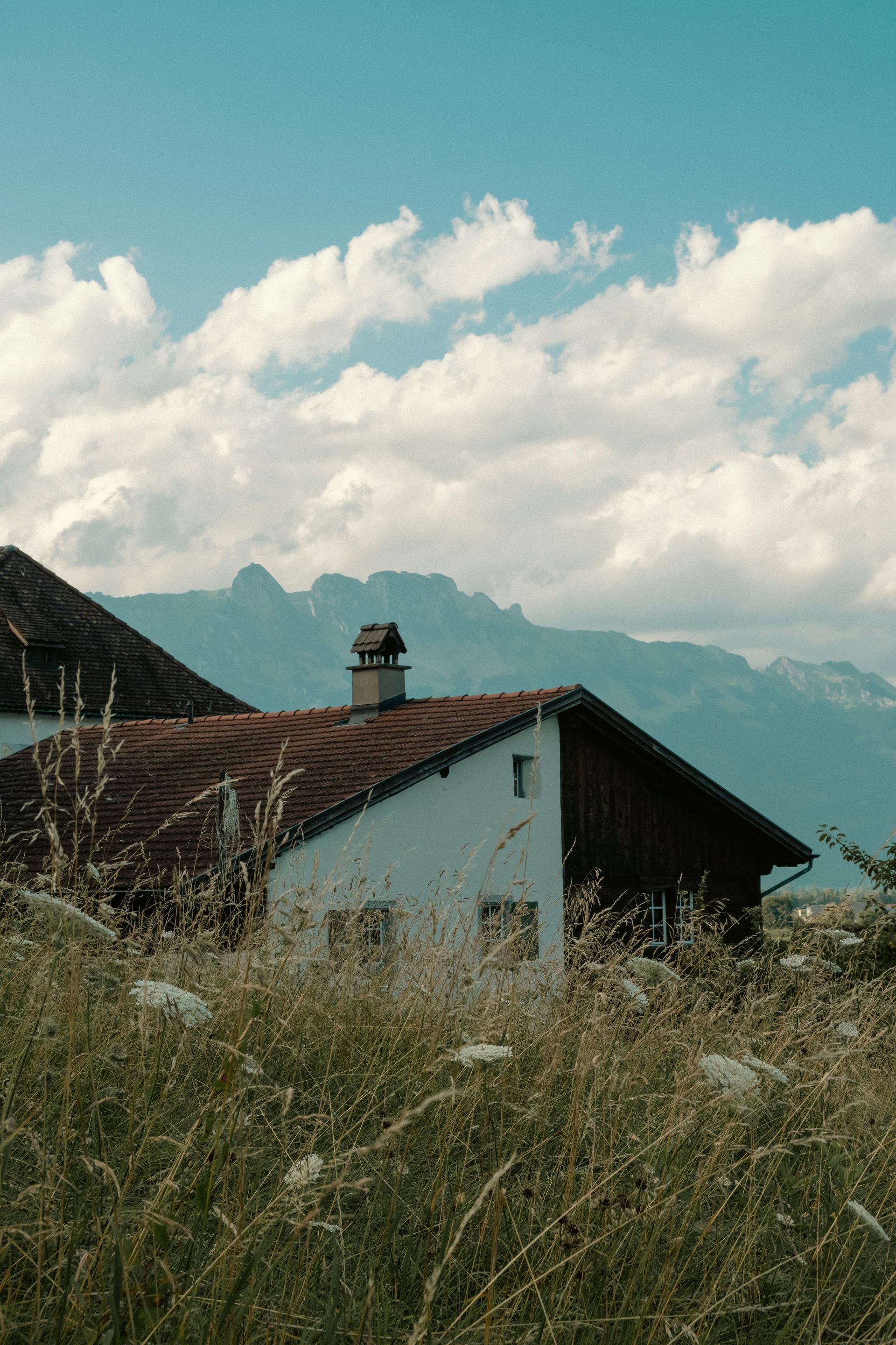 Rustic house with red roof and chimney in tall grass, backed by mountains under a cloudy sky
