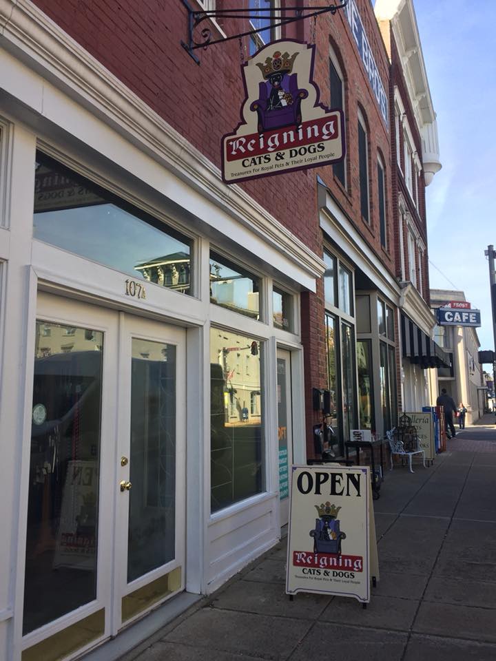 Pet Store Culpeper, VA Reigning Cats & Dogs