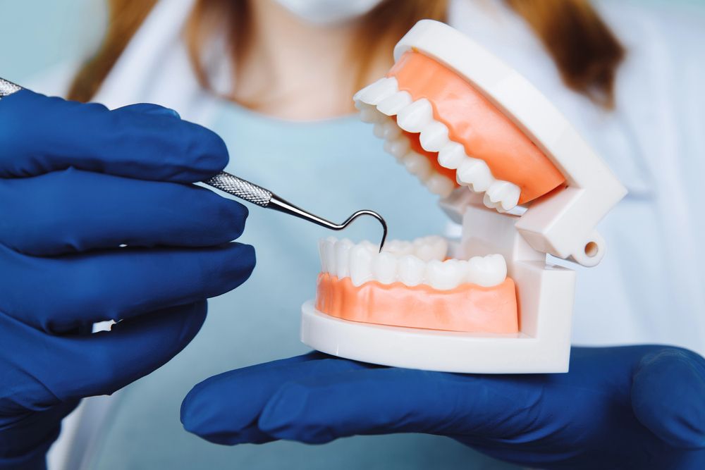 Manos enguantadas limpian un modelo dental con una herramienta en un entorno clínico.