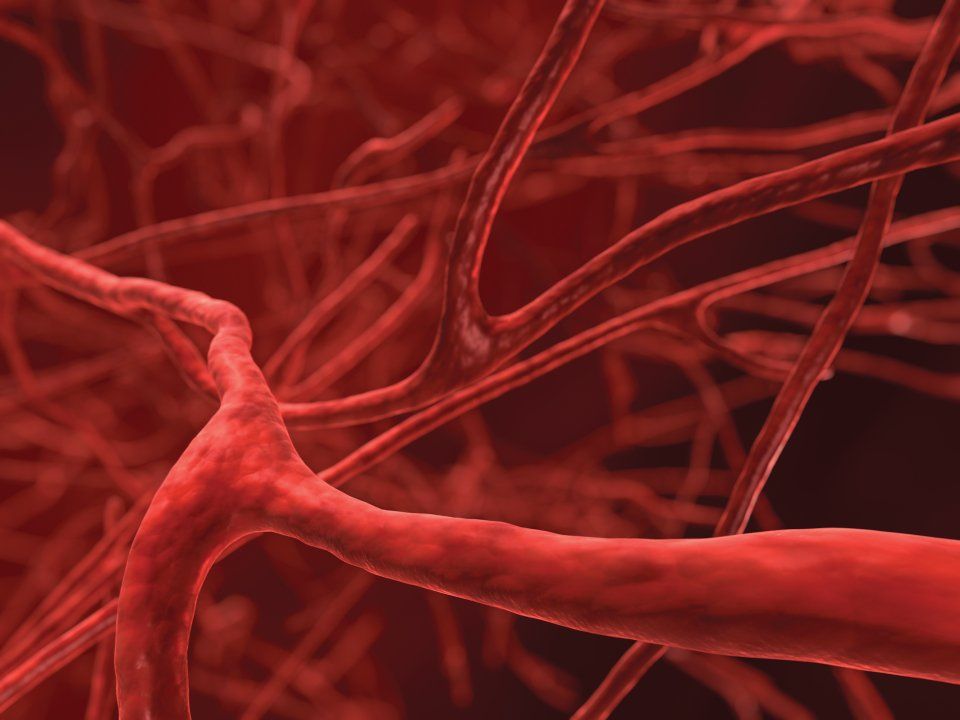 Angiologia e chirurgia vascolare