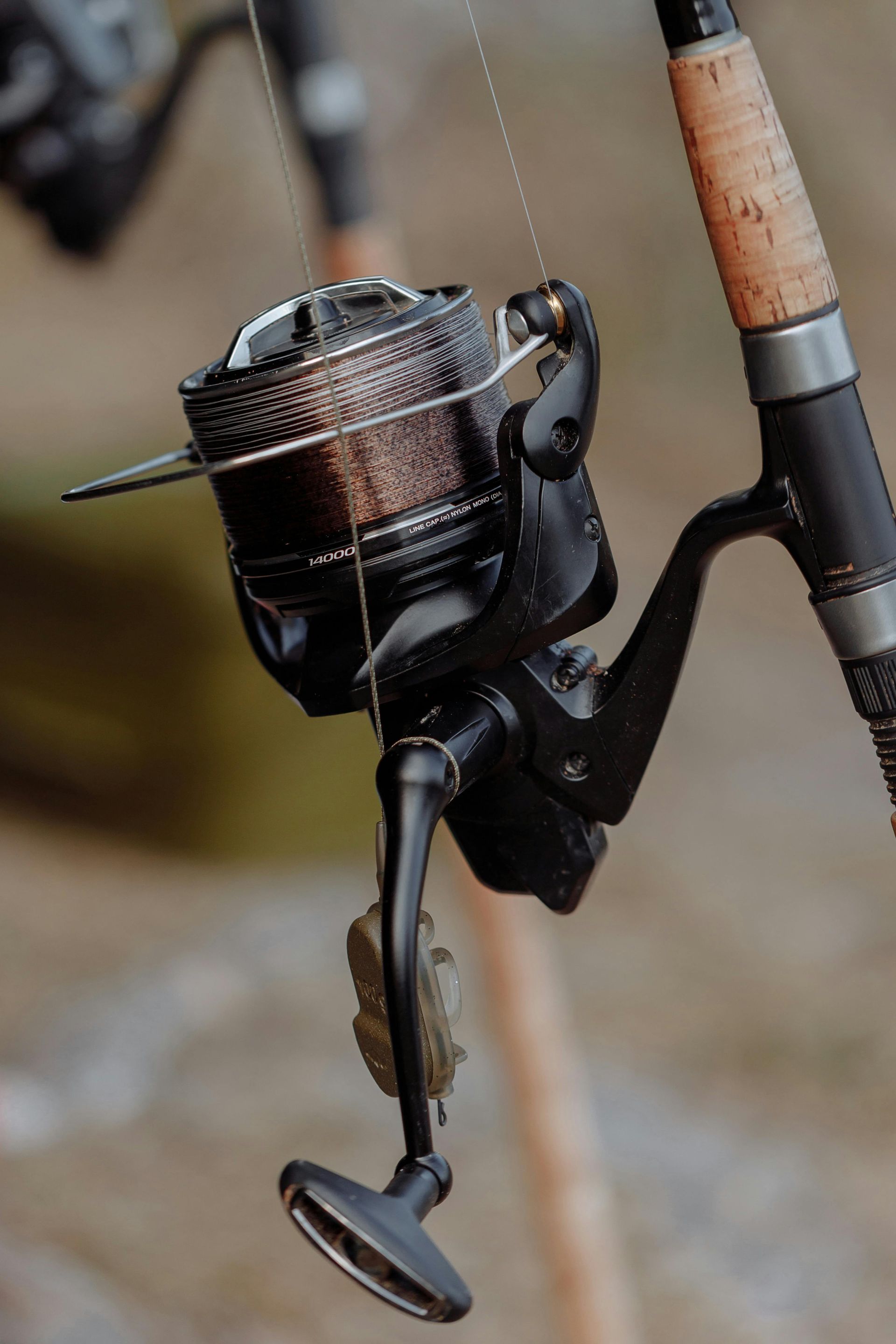 Spinning Rods