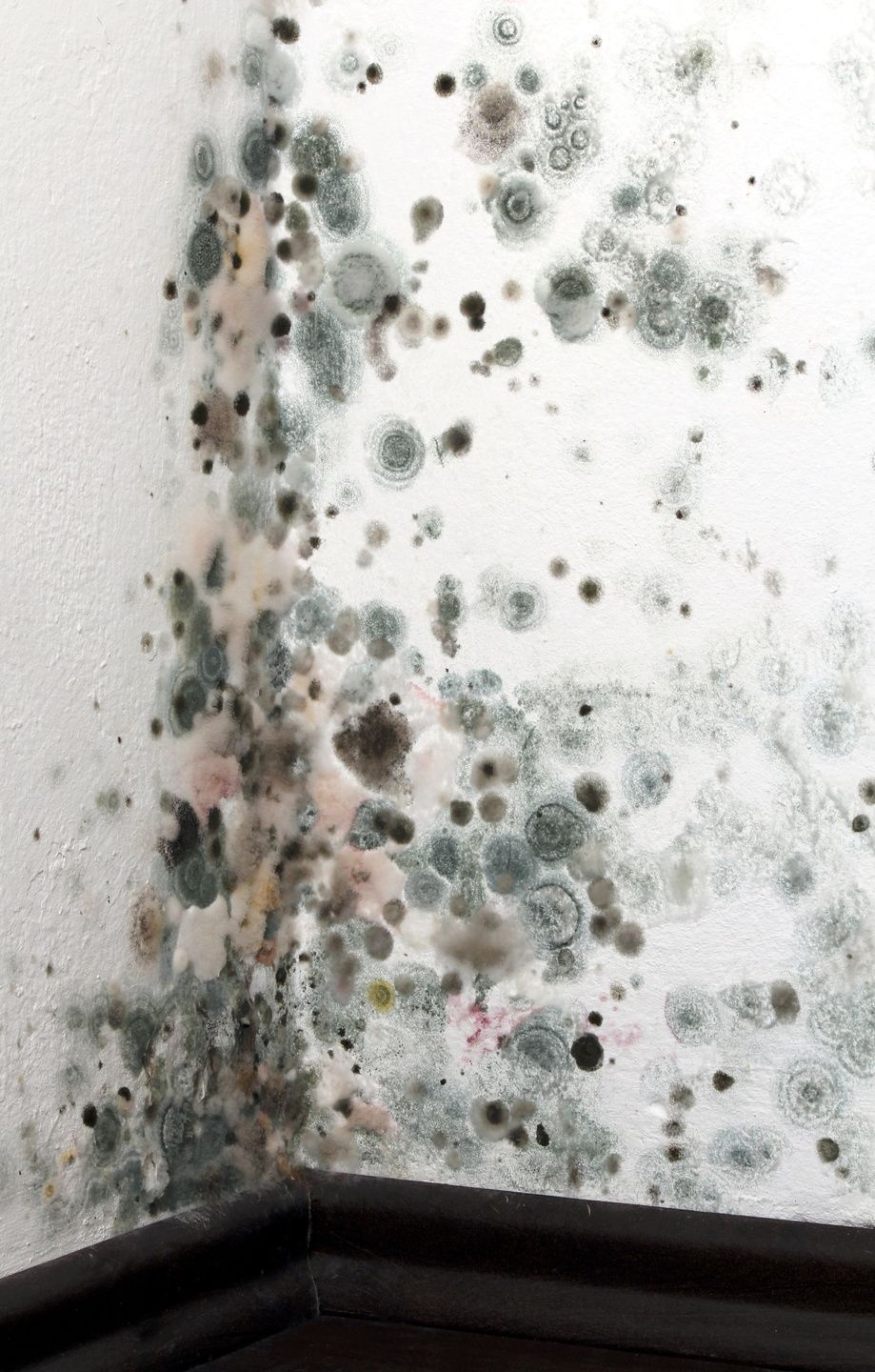 Mold spots cover a white wall corner above a dark baseboard.