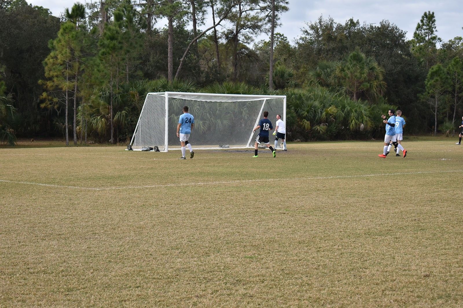 Soccer players near the goal on a grassy field with trees in the background