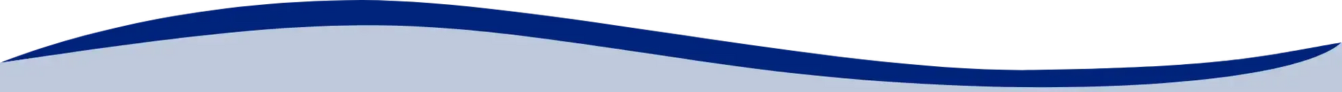 Blue wavy line over a light gray band with white background