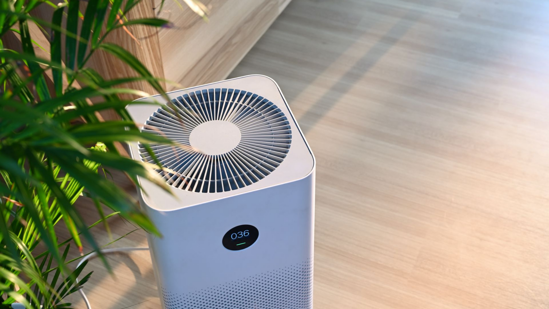 White air purifier beside a green plant on a sunlit wooden floor
