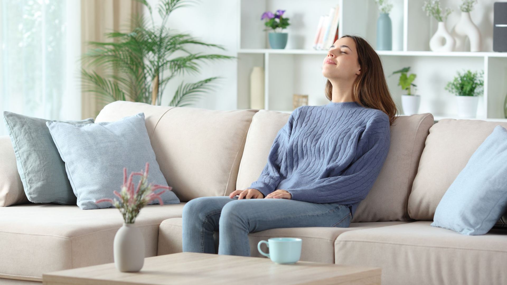 White air purifier beside a green plant on a sunlit wooden floor