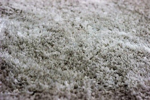 Carpet Protection — Doctor Clean Carpet Cleaning in Aptos, CA