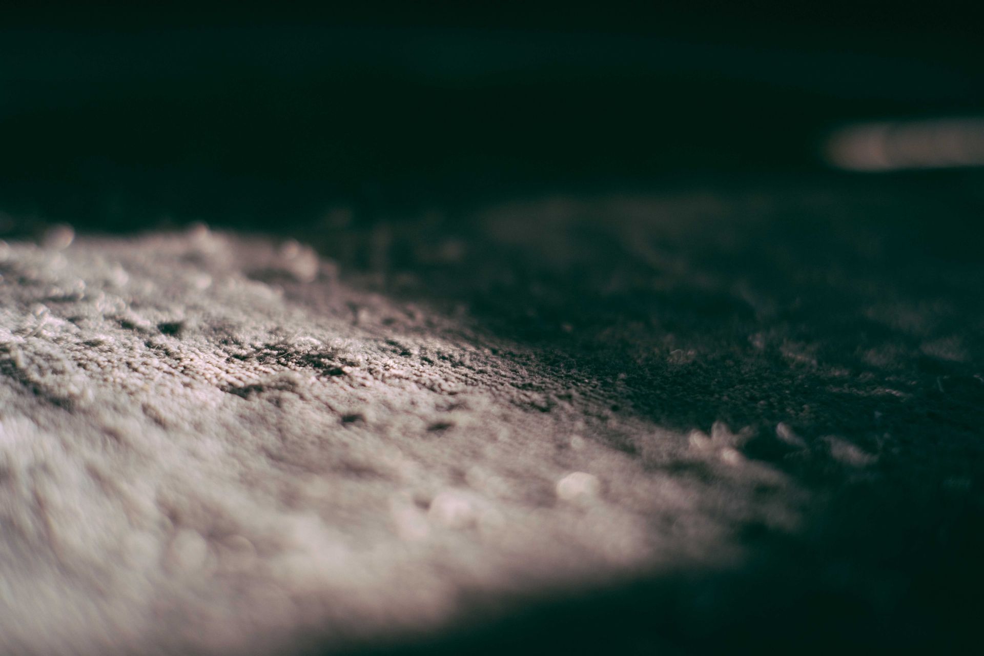 carpet cleaning service santa cruz