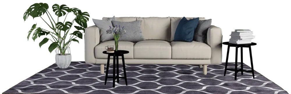 carpet cleaning services