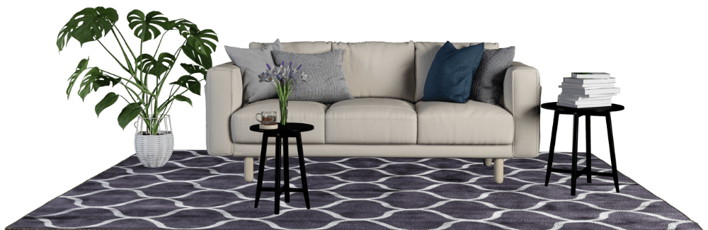 carpet cleaner