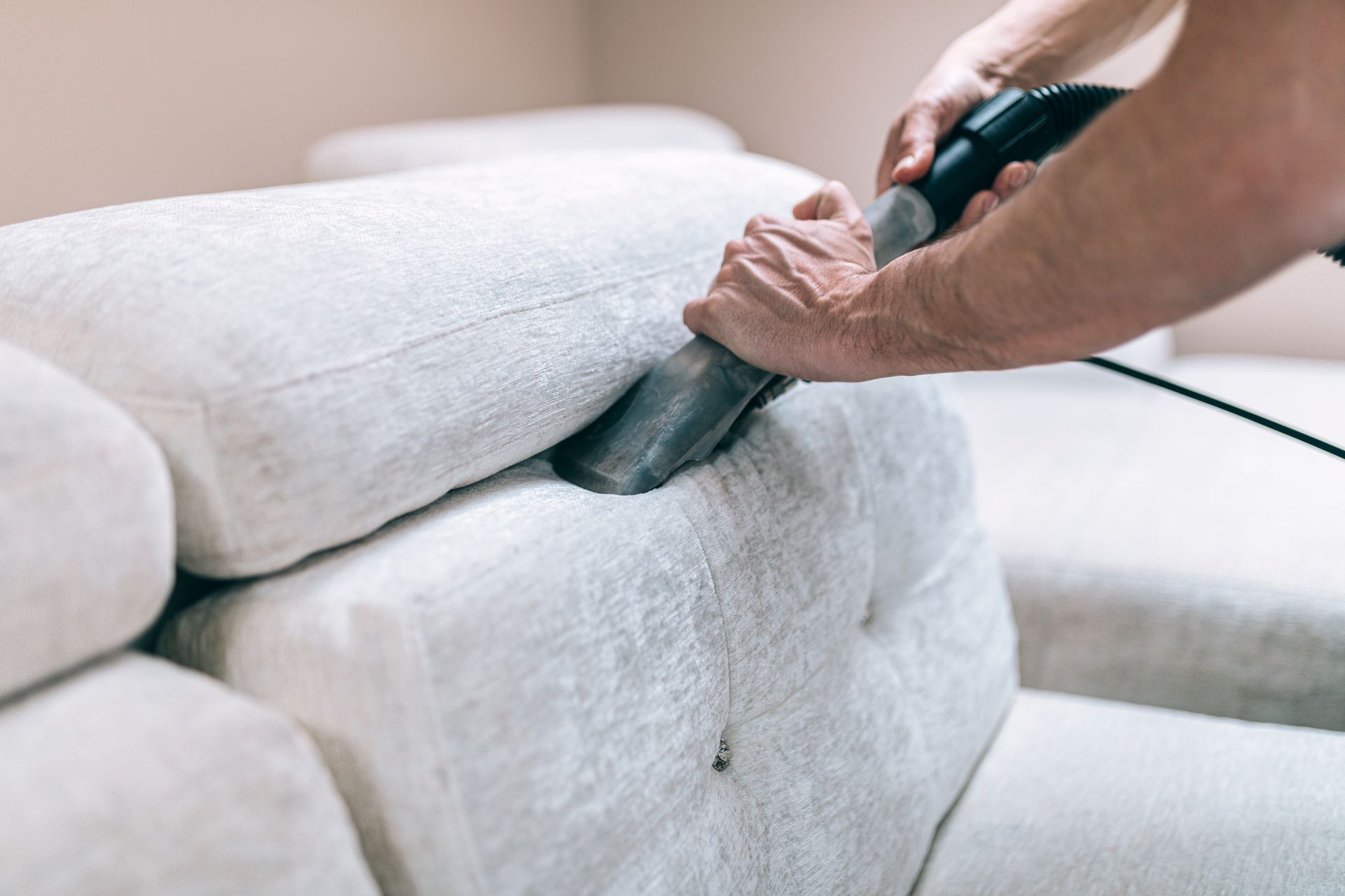 professional upholstery cleaning service in Santa Cruz, CA