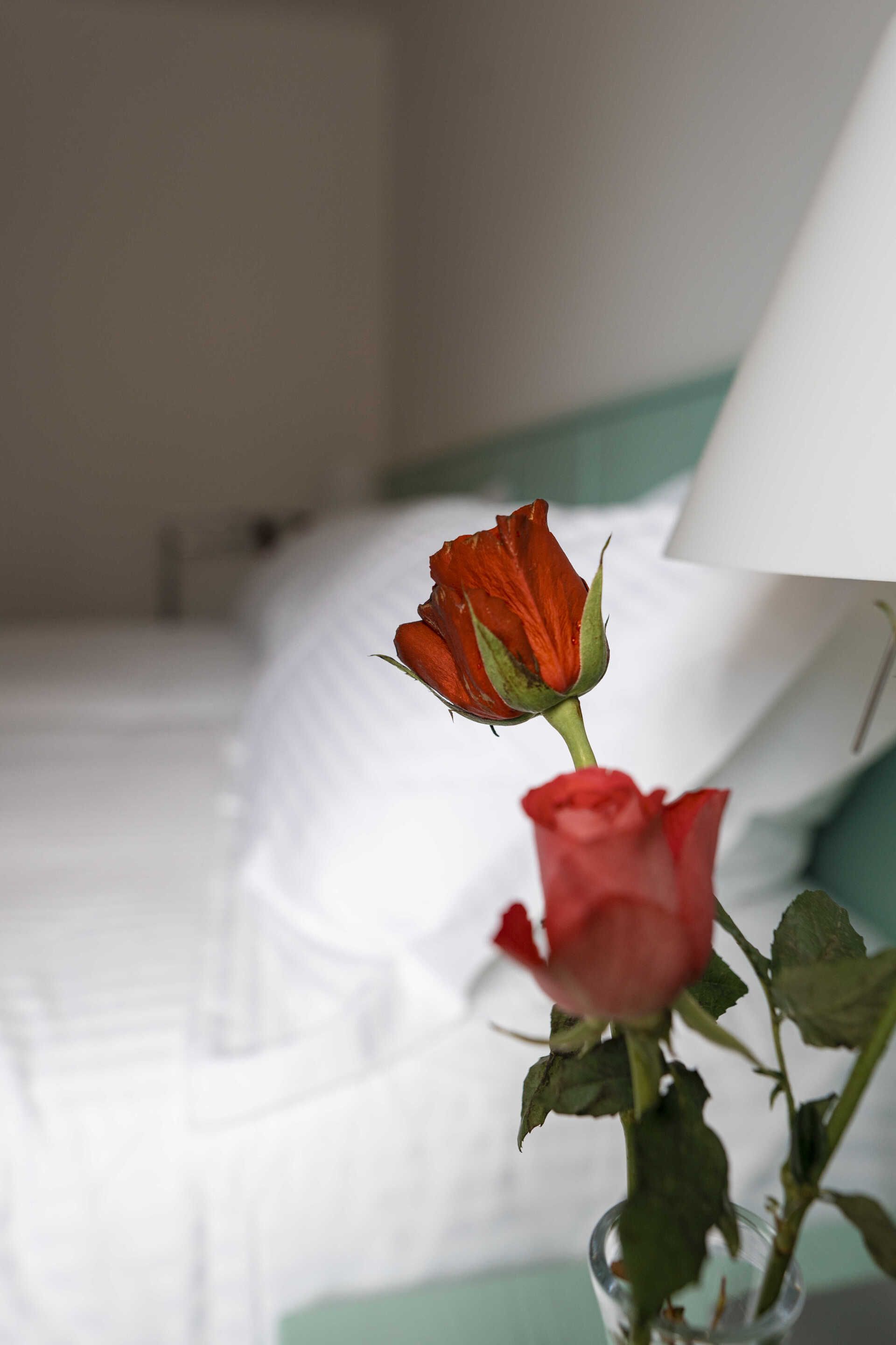 Superior-Zimmer mit einem Strauß roter Rosen