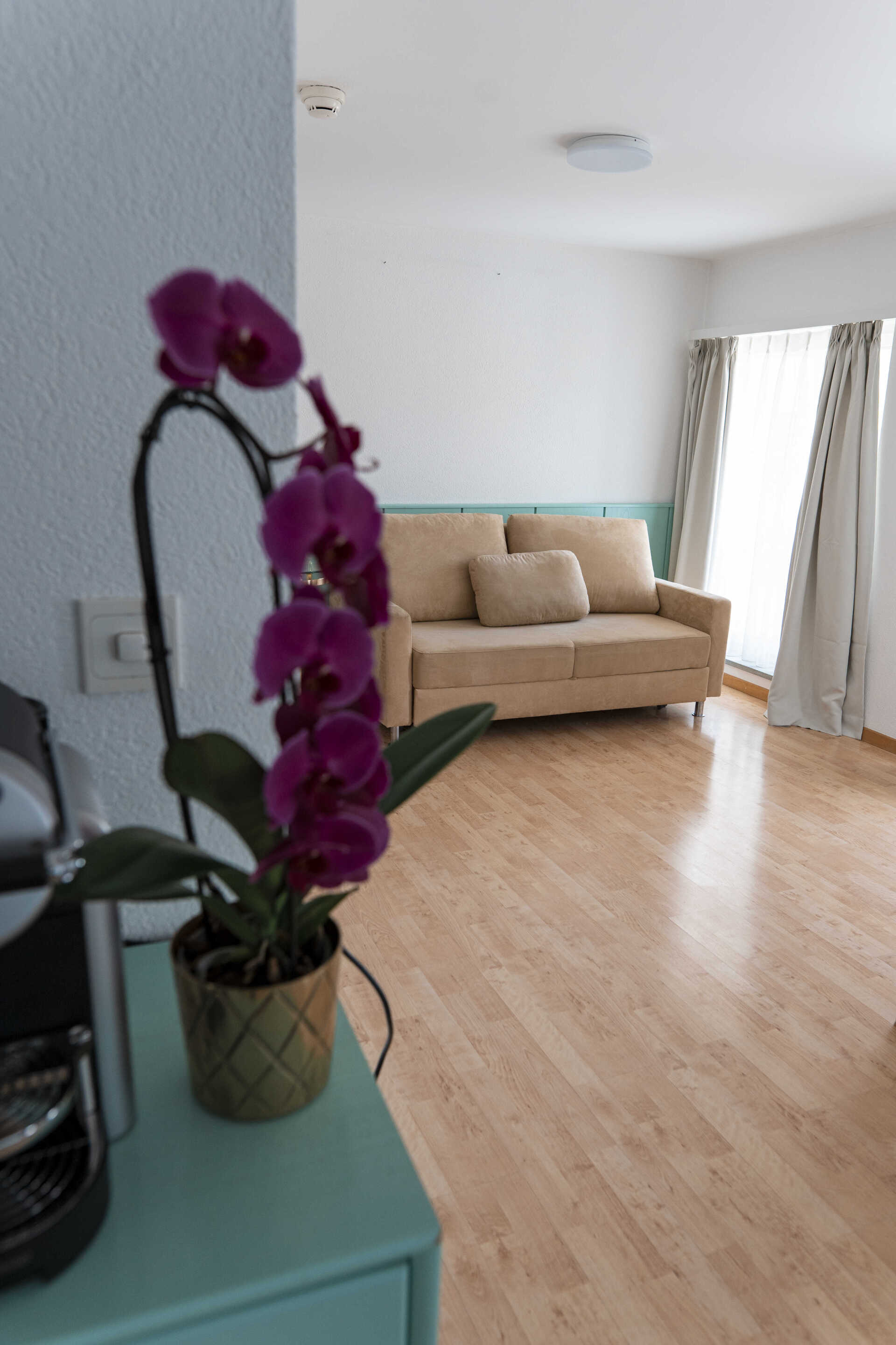 Zimmer Suite mit violetter Orchidee