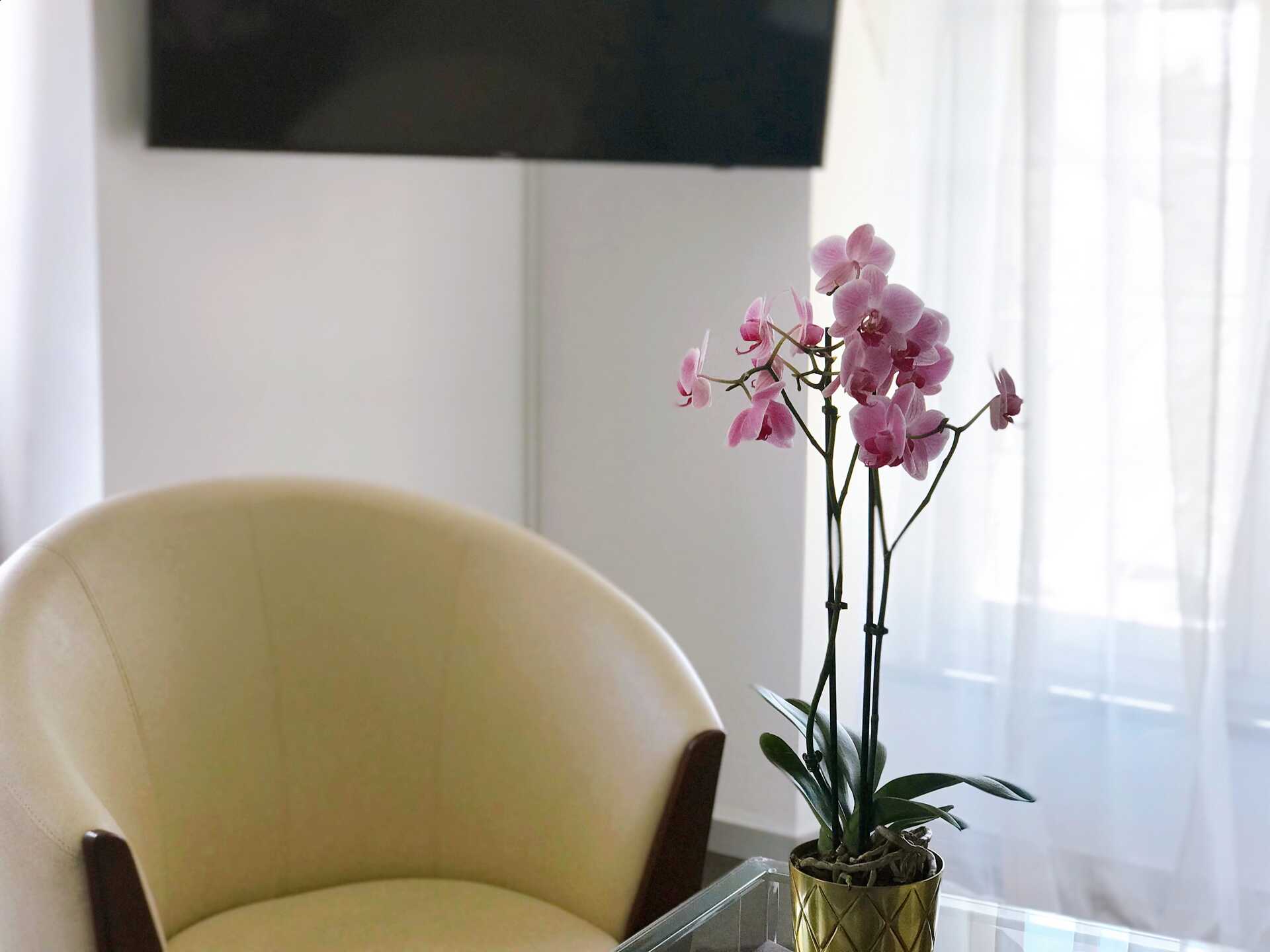 Deluxe Zimmer mit Dekoration und Orchidee