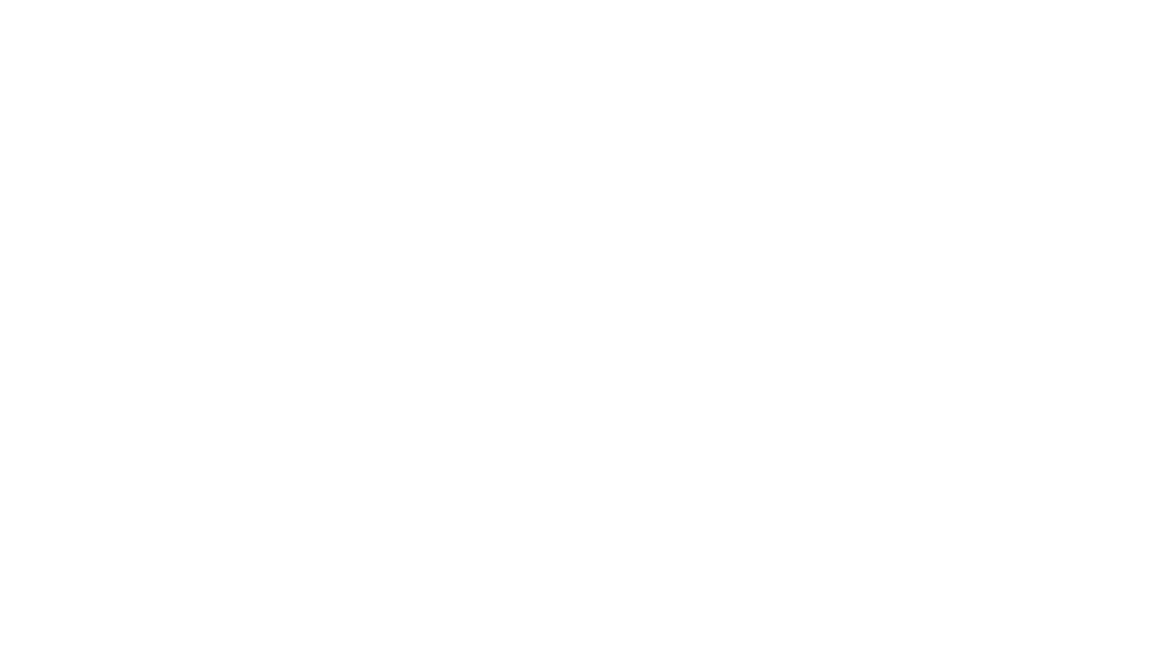 Ali The Agent Realtor