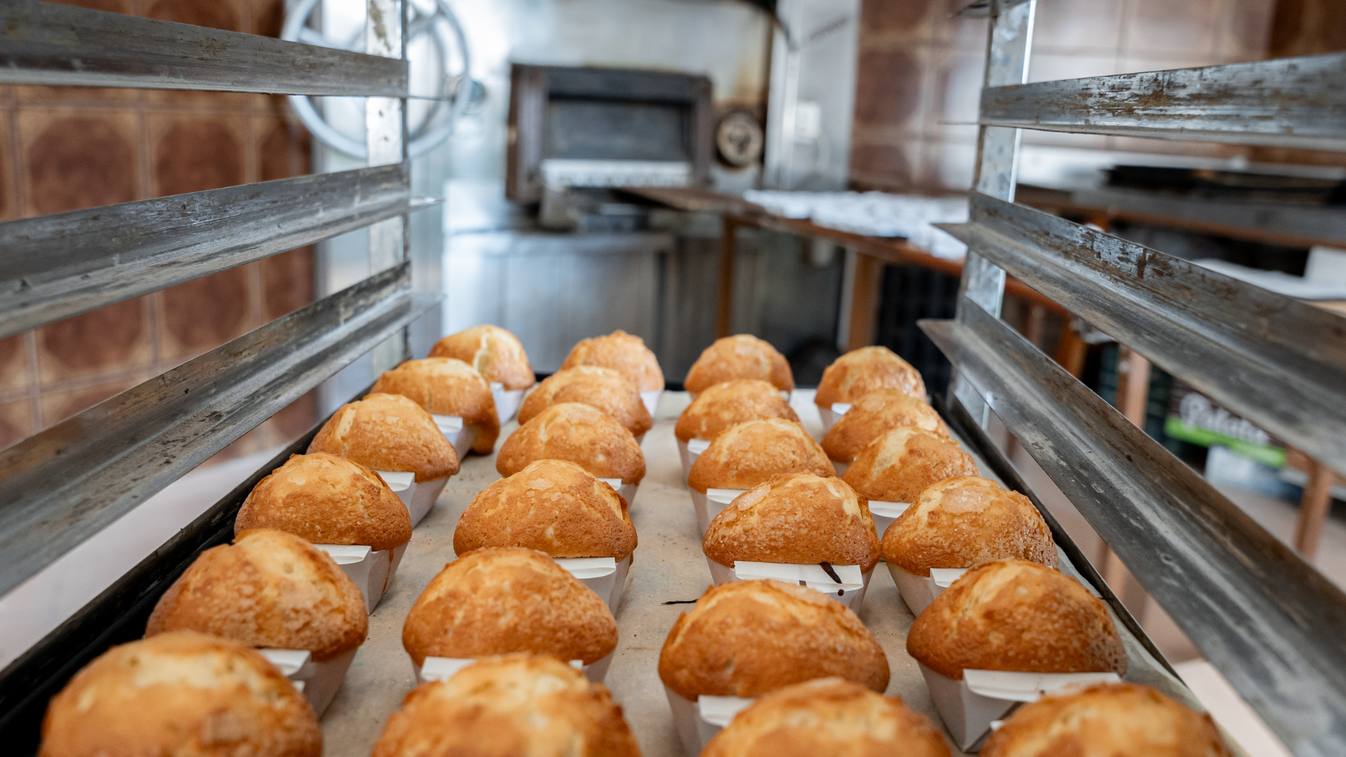 Rows of golden pastries on trays in a bakery oven aisle