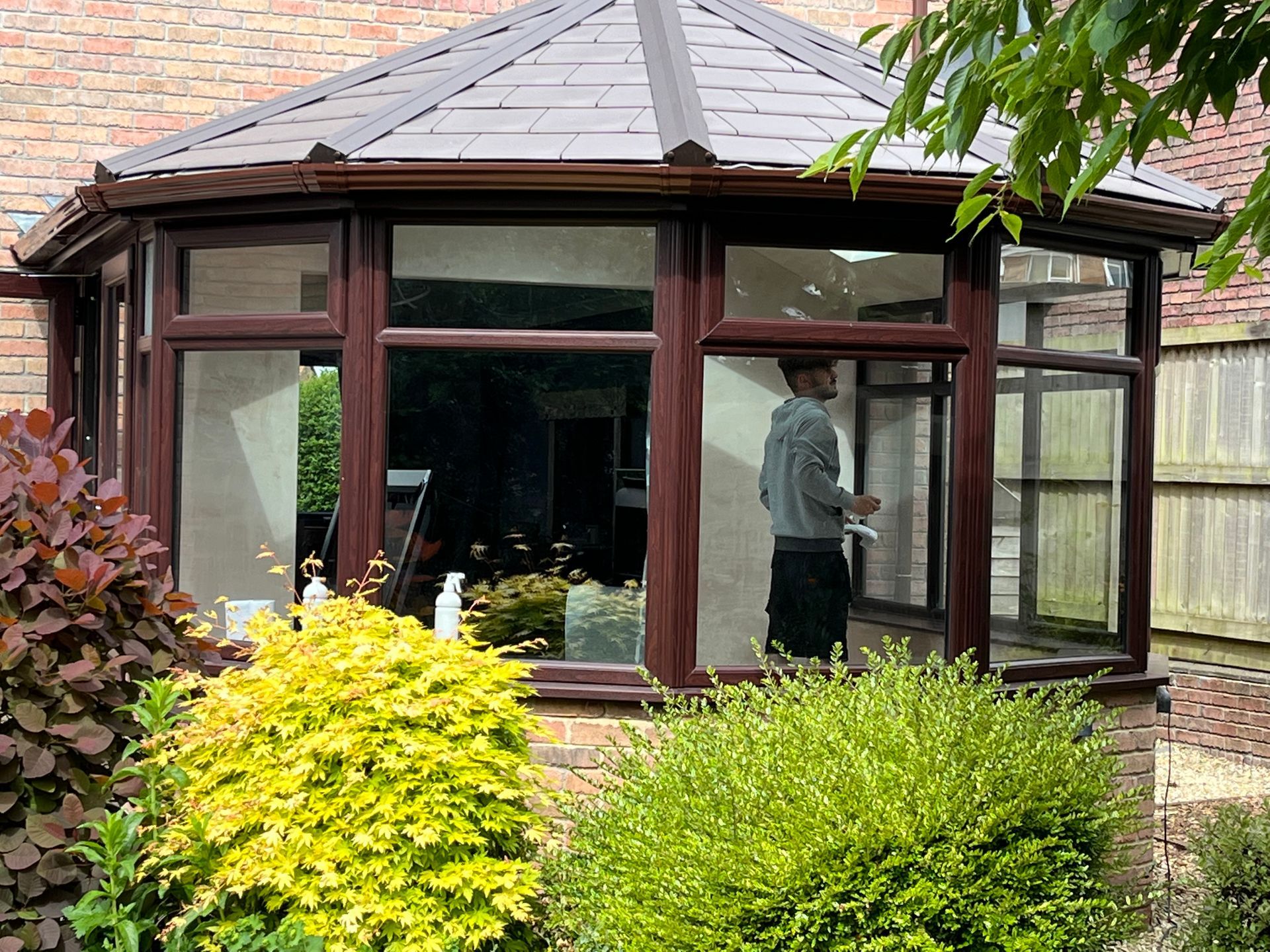 A man is standing in front of a window in a conservatory.