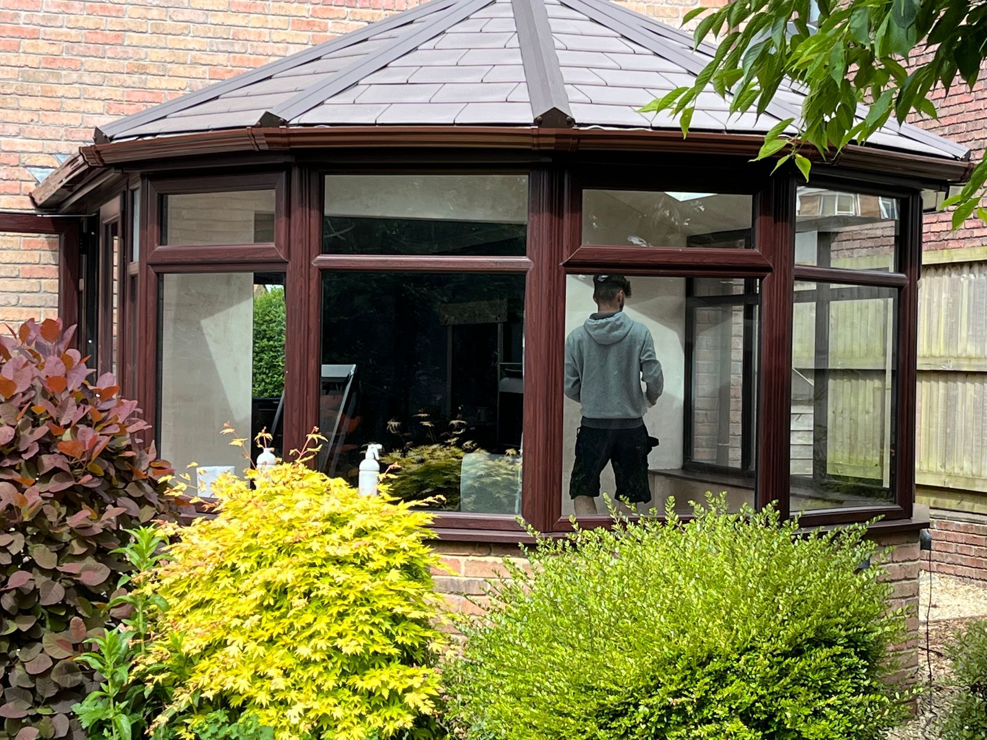 A man is standing in front of a window in a conservatory.