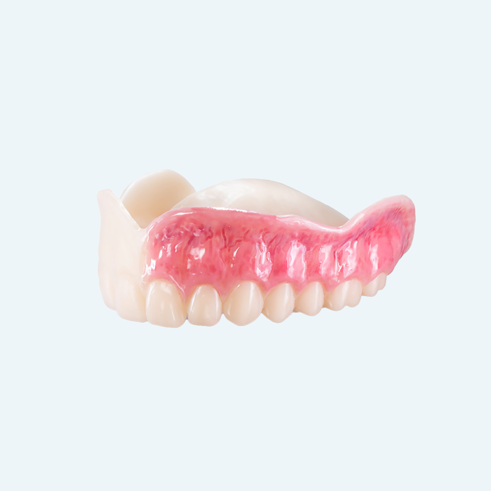 Upper dental dentures, pink gum detail, and white teeth against a light blue background.