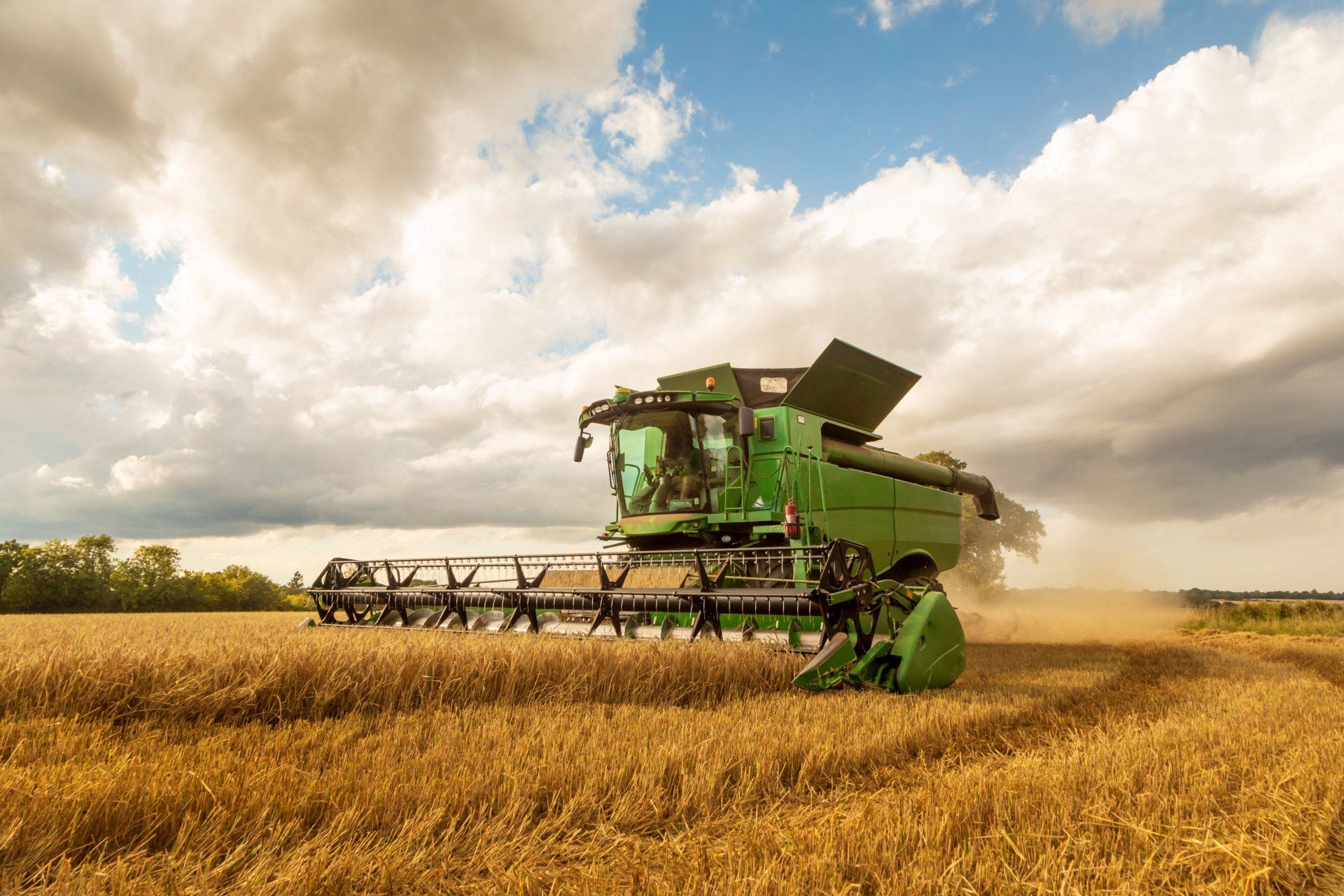 Green combine harvester harvesting wheat in a field under a cloudy sky.