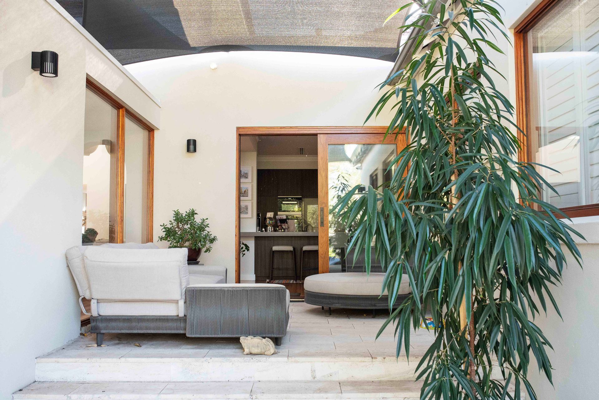 Outdoor courtyard patio with modern seating and a large potted plant