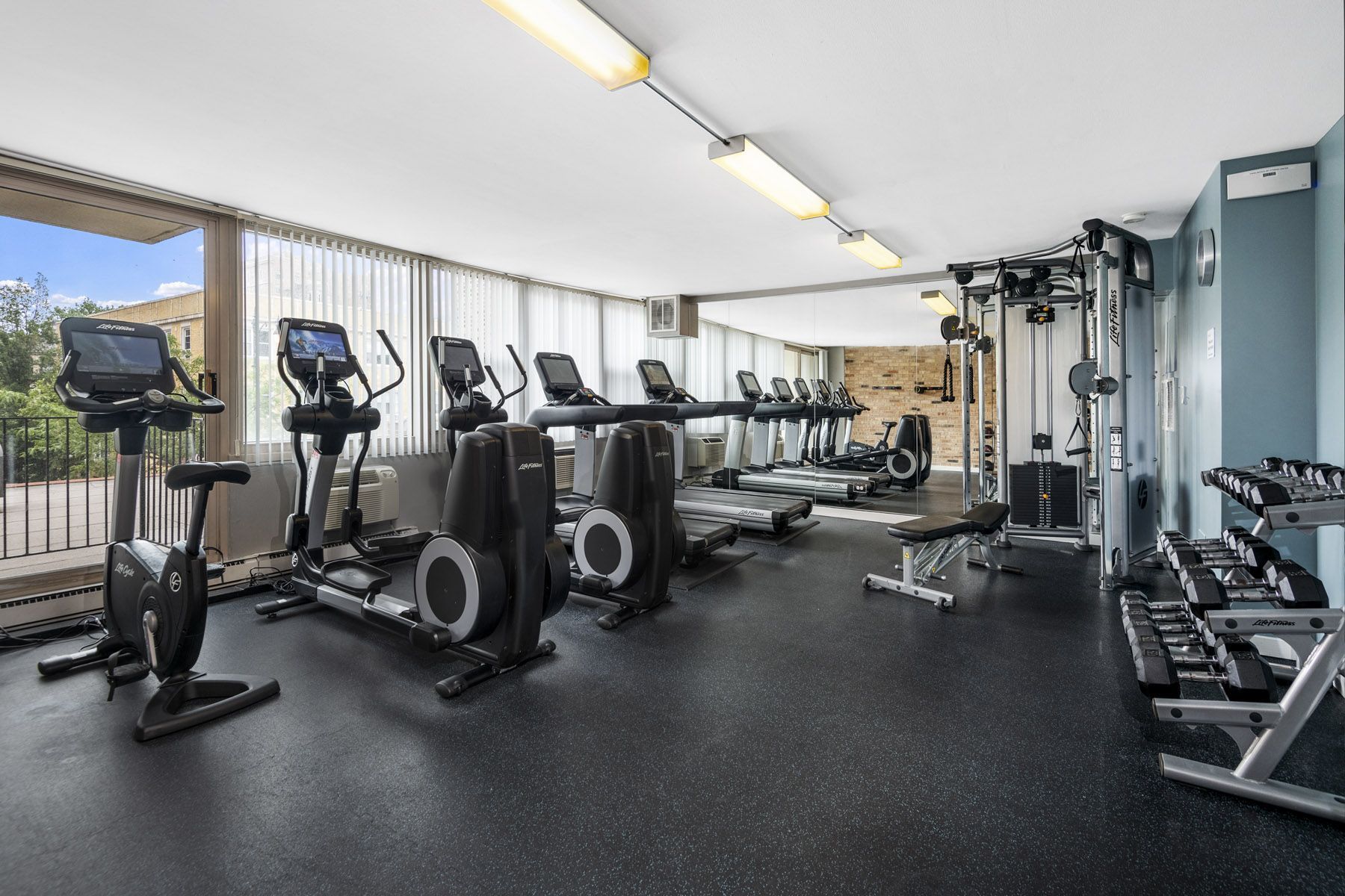 the gym is equipped with cardio equipment and weights