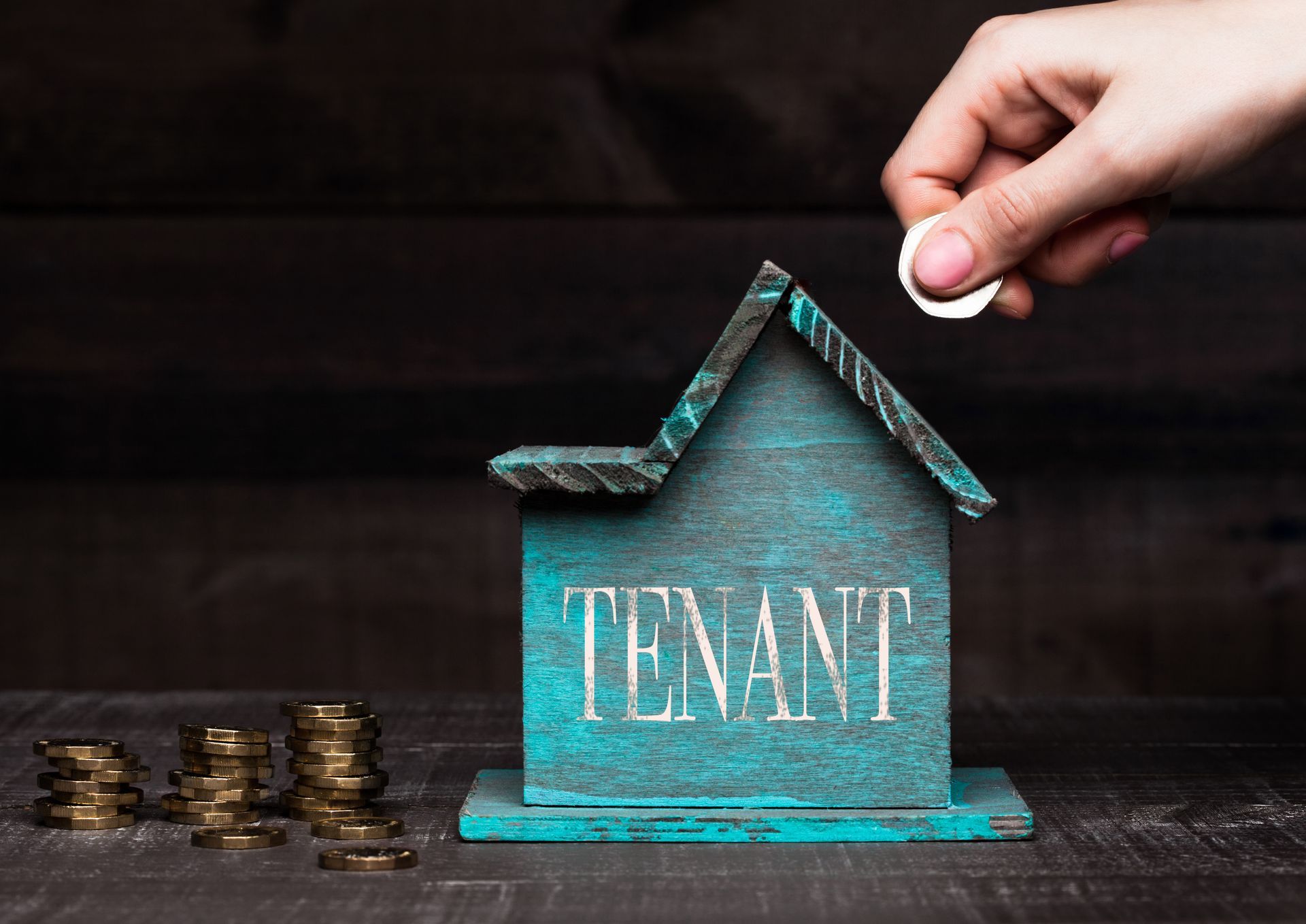 professional tenant improvement services in prosper tx for commercial spaces