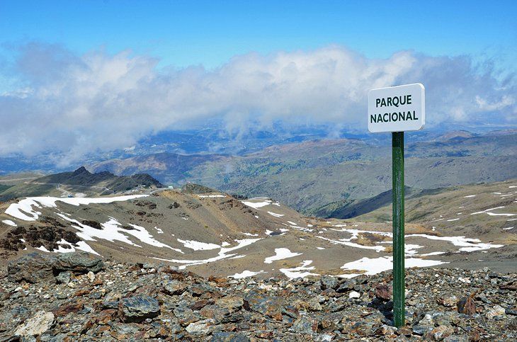 For anyone's mental health, this is where you should be, up in the mountains