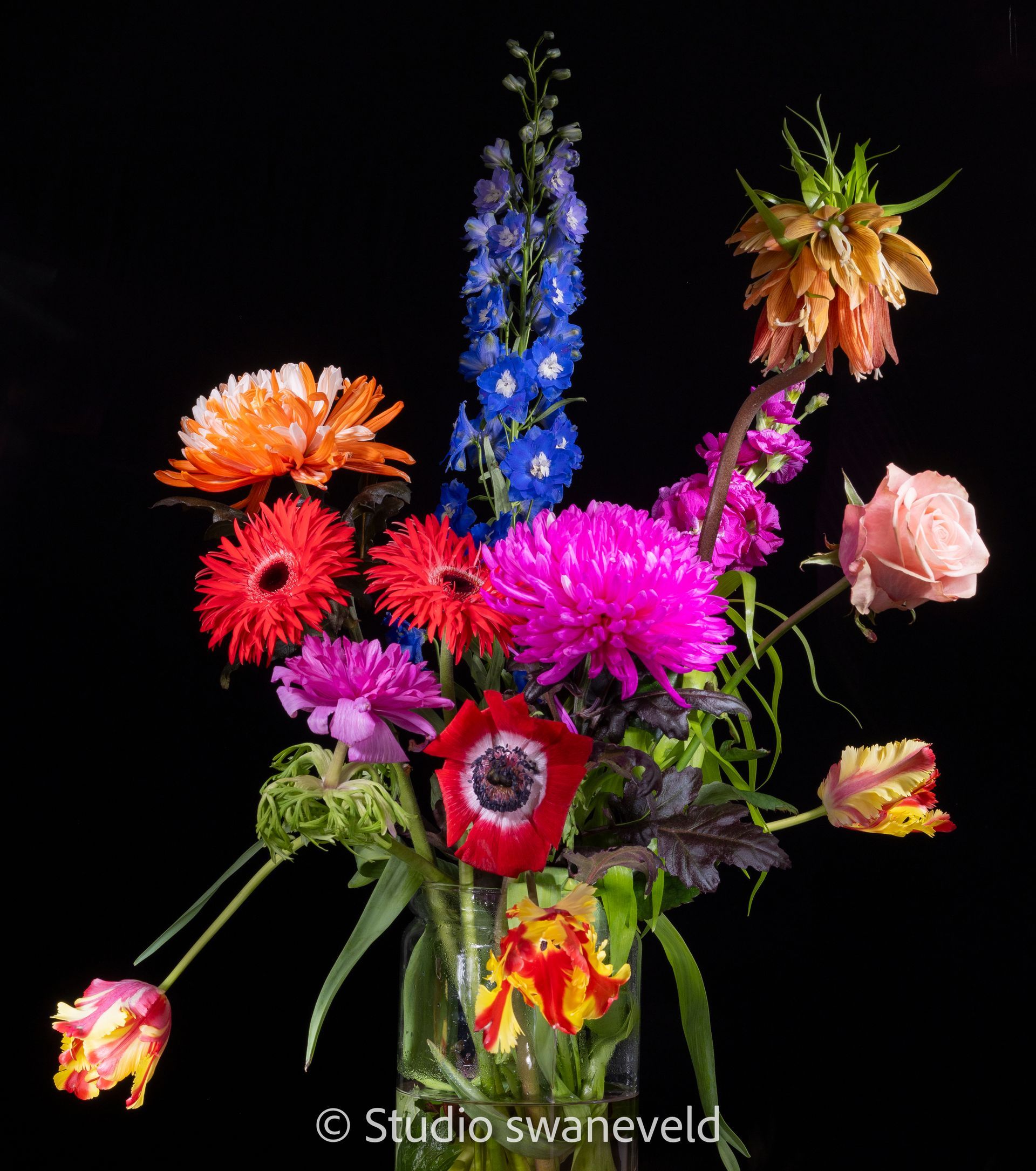 bloemen die 1 voor 1 uitgelicht zijn door een speciaal apparaat