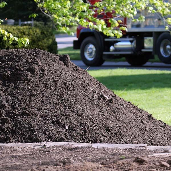 Topsoil & Fill