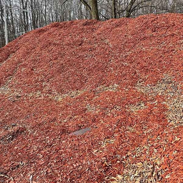 pile of red mulch