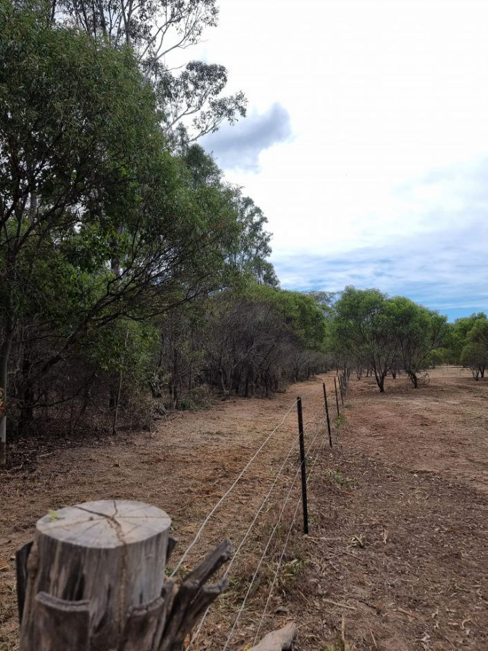 Land Clearing in Progress, Preparing For Re-vegetation — Land Clearing in Good Night, QLD