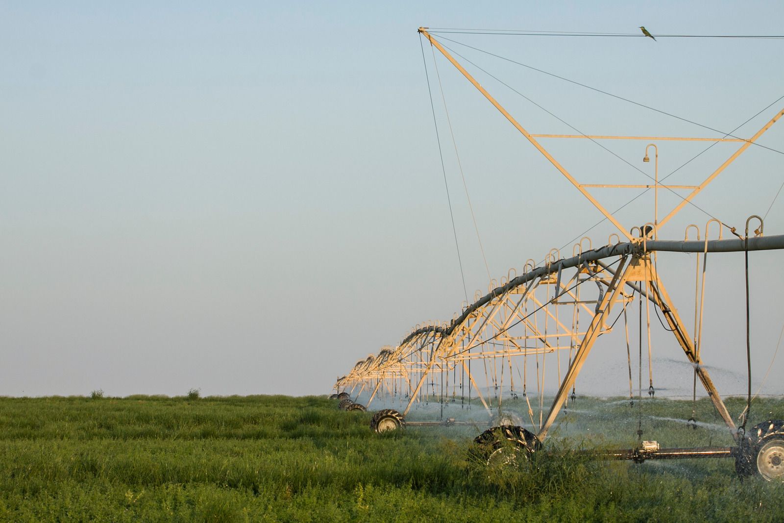 A yellow center-pivot irrigation system waters a green field under a clear sky.