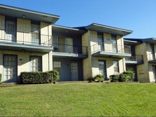 The Pines at 55