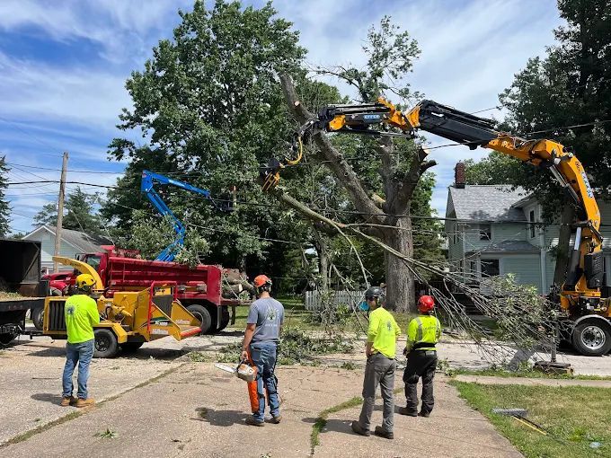 24/7 Emergency Tree Care