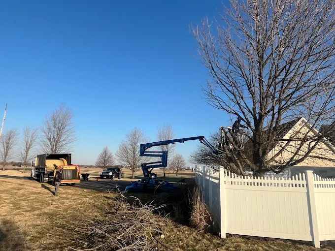 Residential Tree Removal