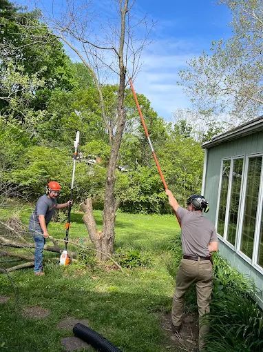 Tree Pruning