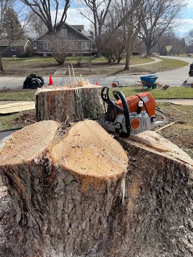 A chainsaw is sitting on top of a tree stump.