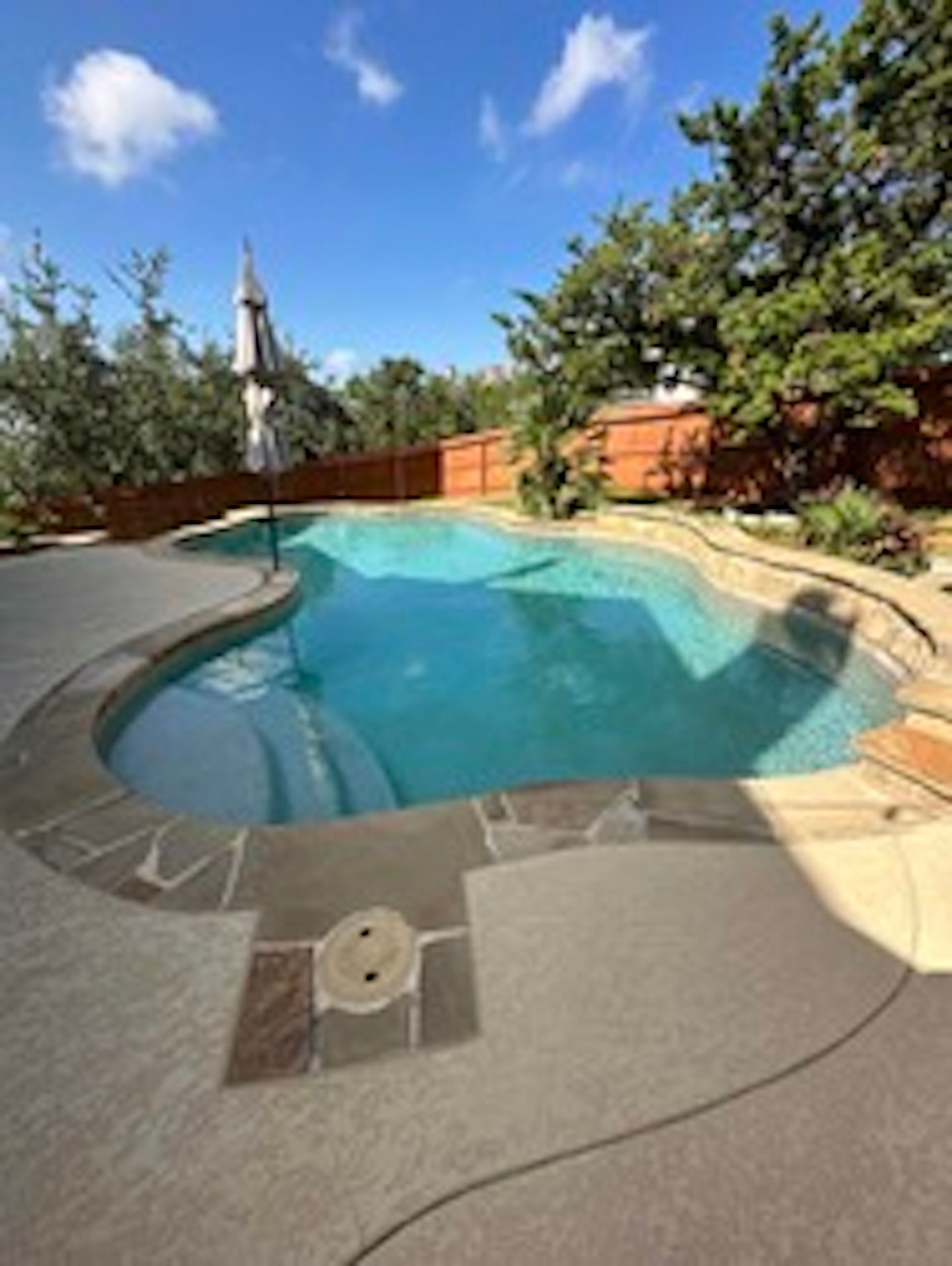 Backyard swimming pool with curved stone deck, turquoise water, and trees under a blue sky