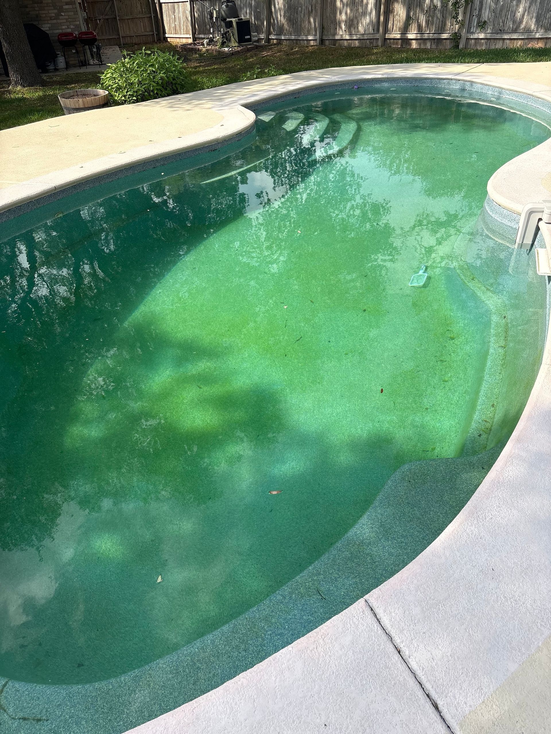 Green-tinted swimming pool with cloudy water and stone coping outdoors