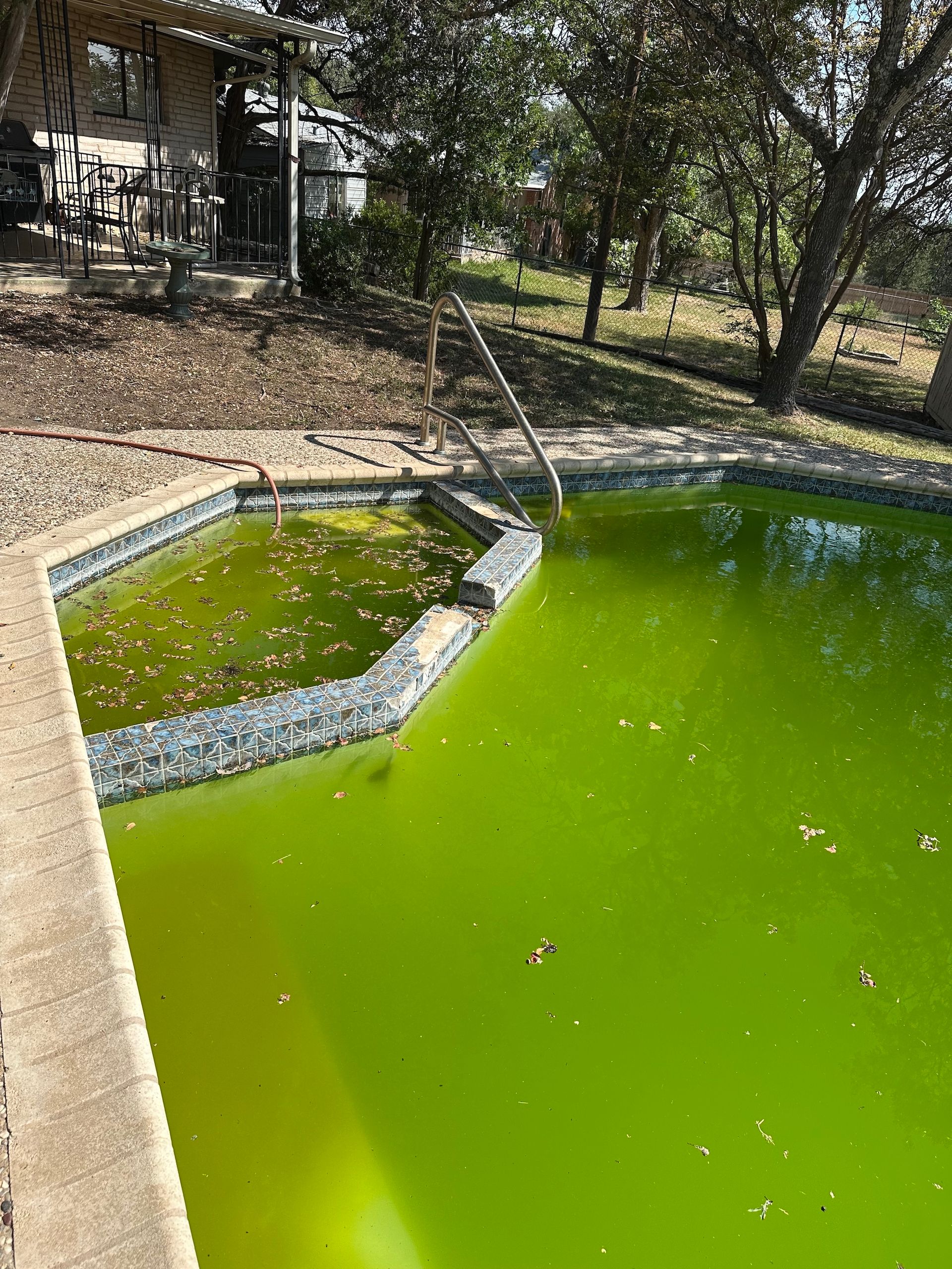 Green pond with algae and a small stone-lined spillway in a wooded backyard