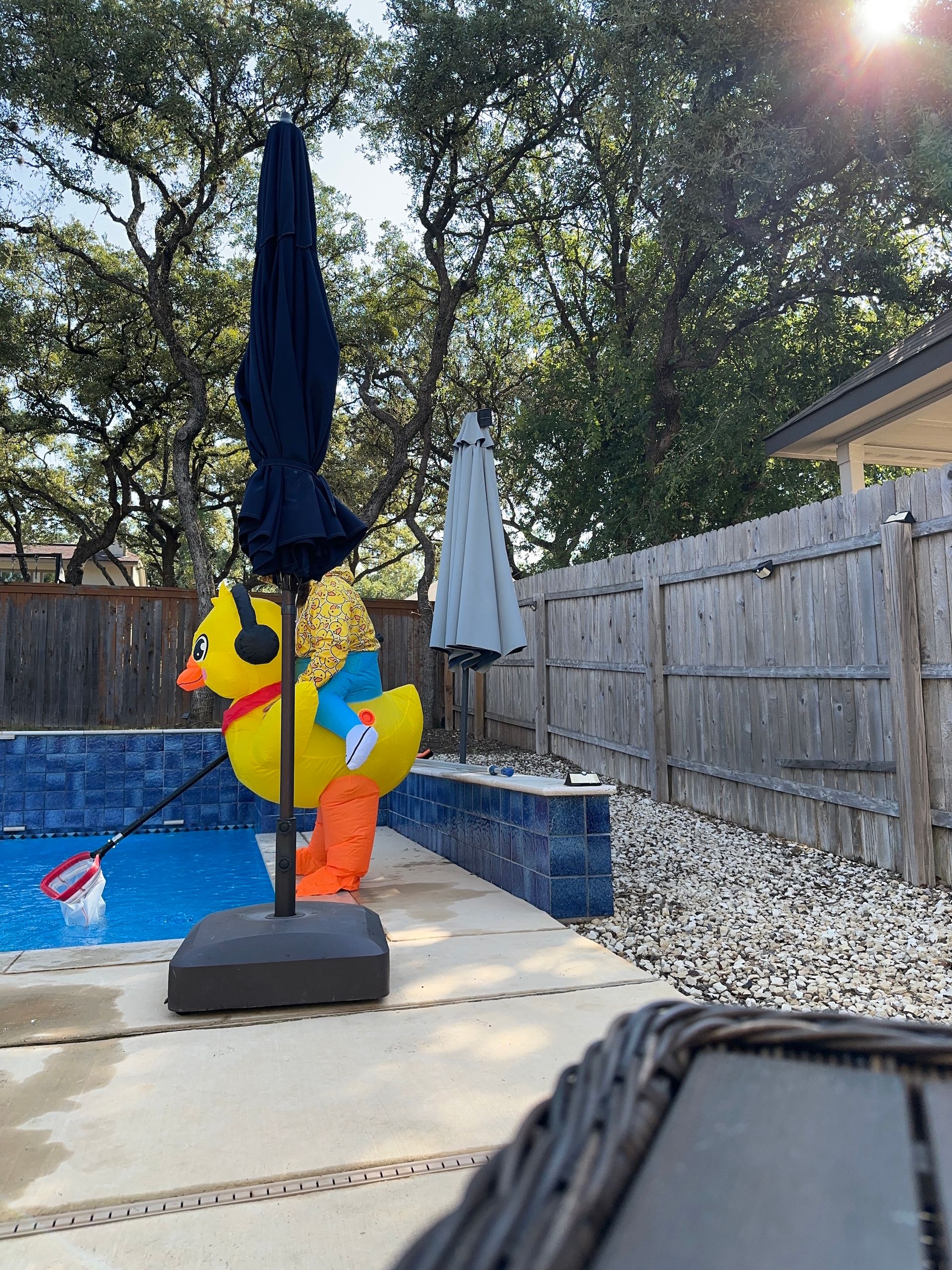 Backyard pool with a large yellow inflatable duck and closed umbrella by a fence