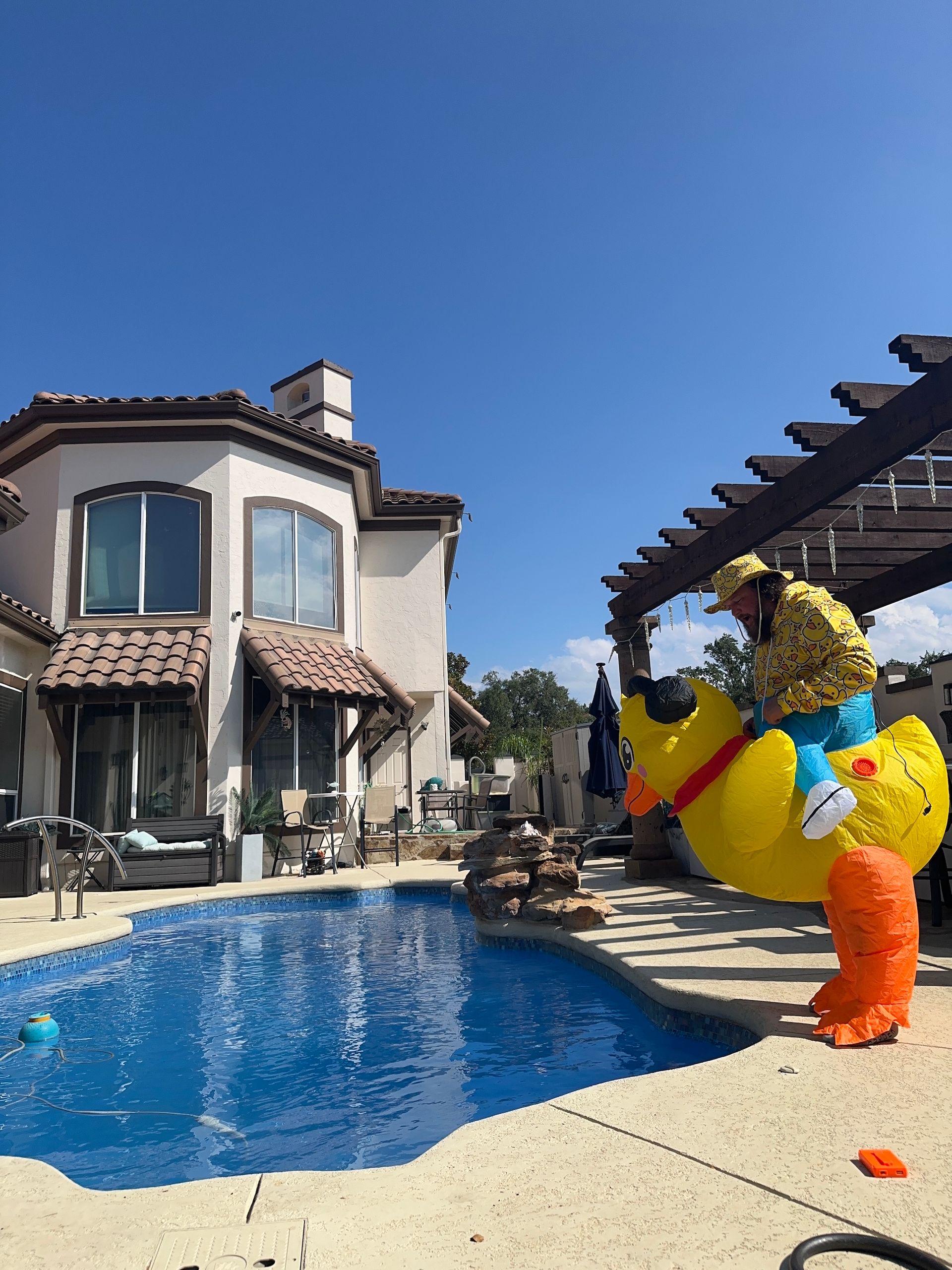Backyard pool beside a house, with a large colorful bird sculpture on the patio.