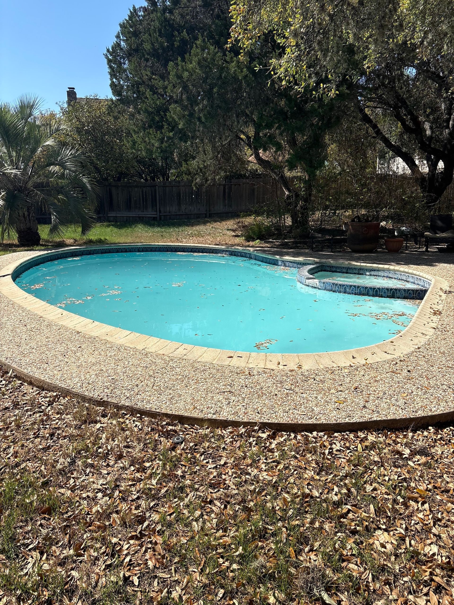 Small backyard swimming pool with bright blue water, surrounded by trees and fallen leaves